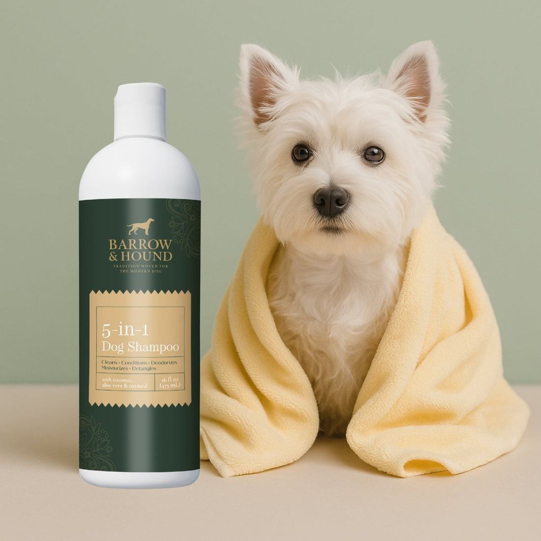 The Secret to a Shinier Coat: Why We Use Oatmeal in Our Dog Shampoo - Barrow & Hound
