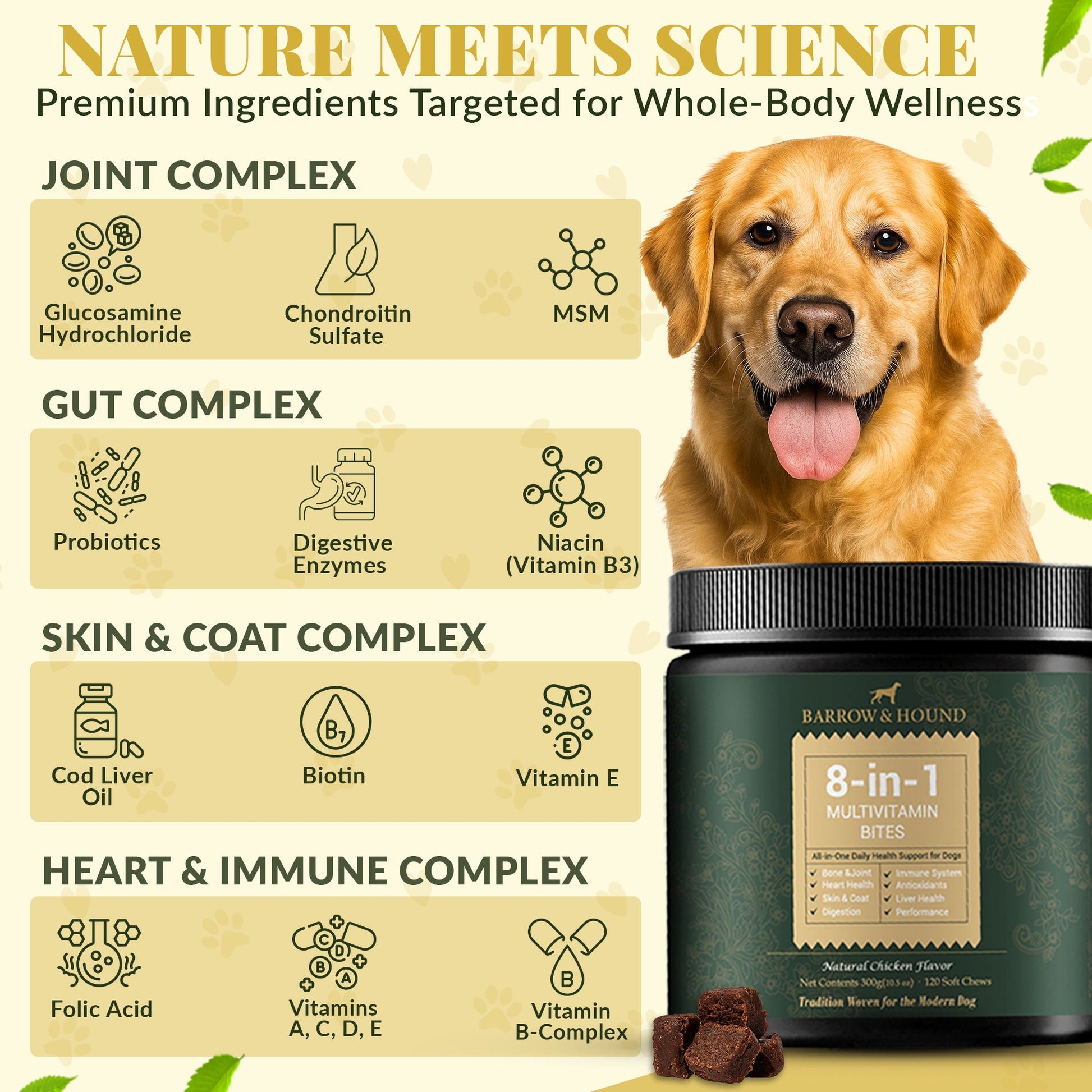 8 - in - 1 Daily Multivitamin Bites for Dogs – All - in - One Health Support, 120 Soft Chews - Barrow & Hound