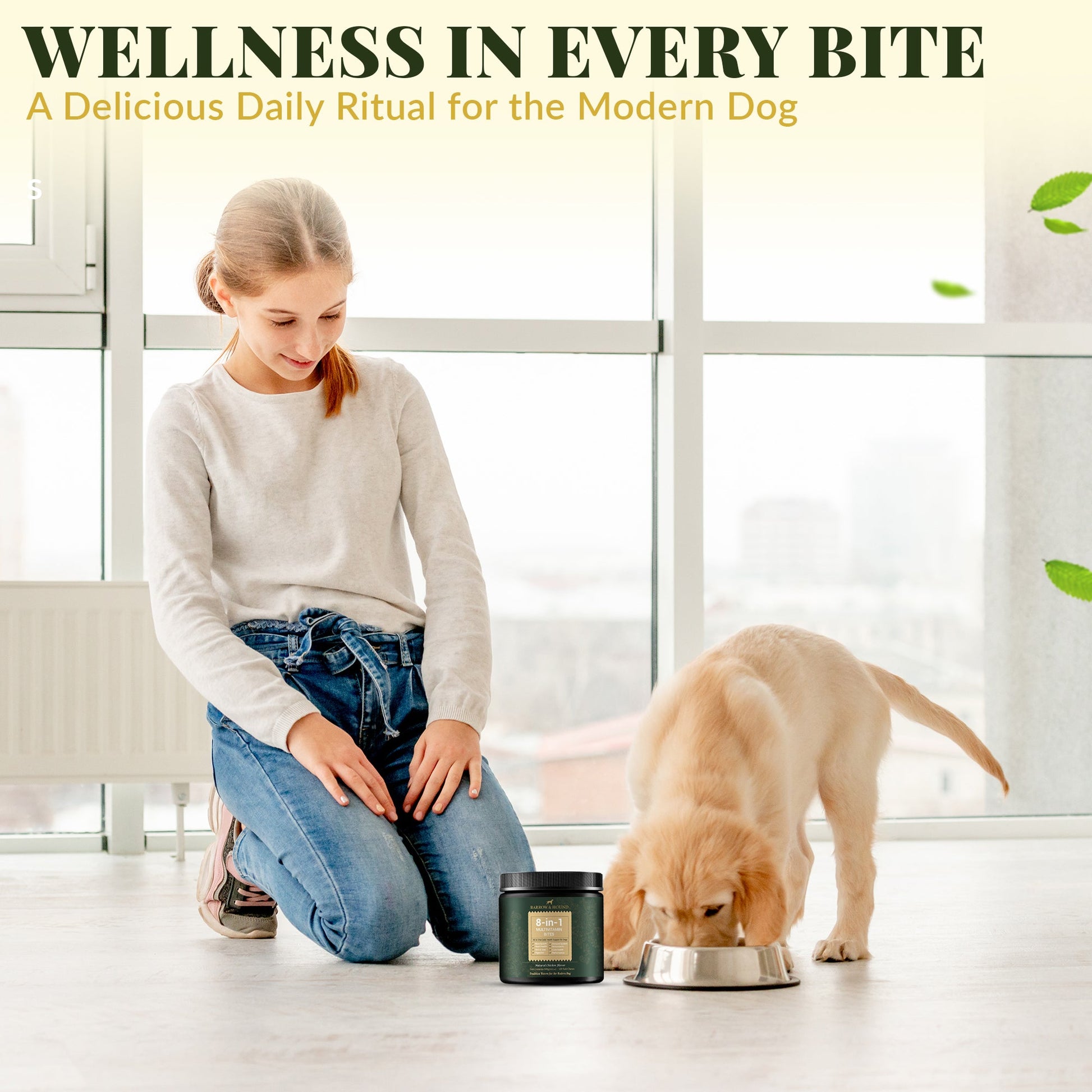8 - in - 1 Daily Multivitamin Bites for Dogs – All - in - One Health Support, 120 Soft Chews - Barrow & Hound