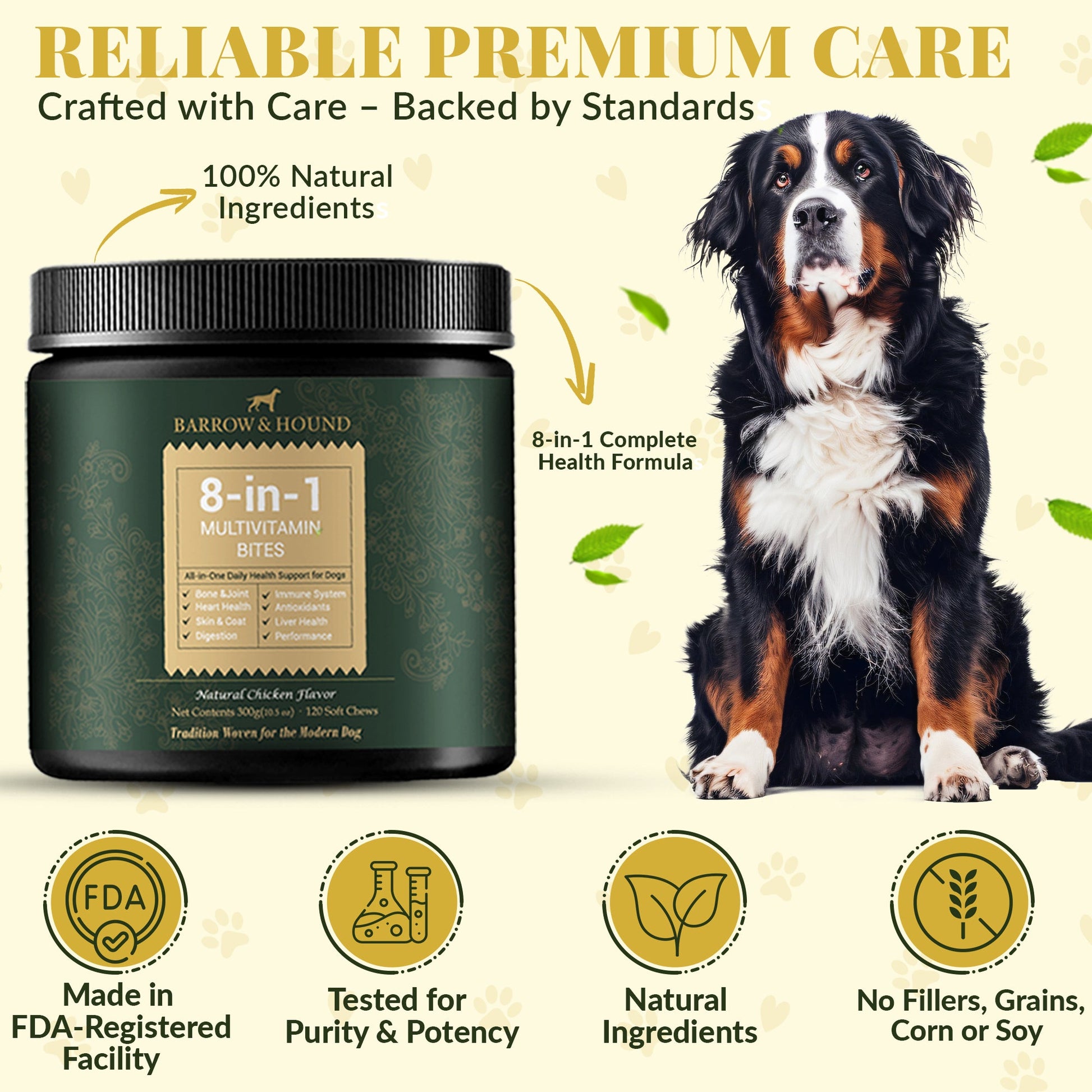 8 - in - 1 Daily Multivitamin Bites for Dogs – All - in - One Health Support, 120 Soft Chews - Barrow & Hound