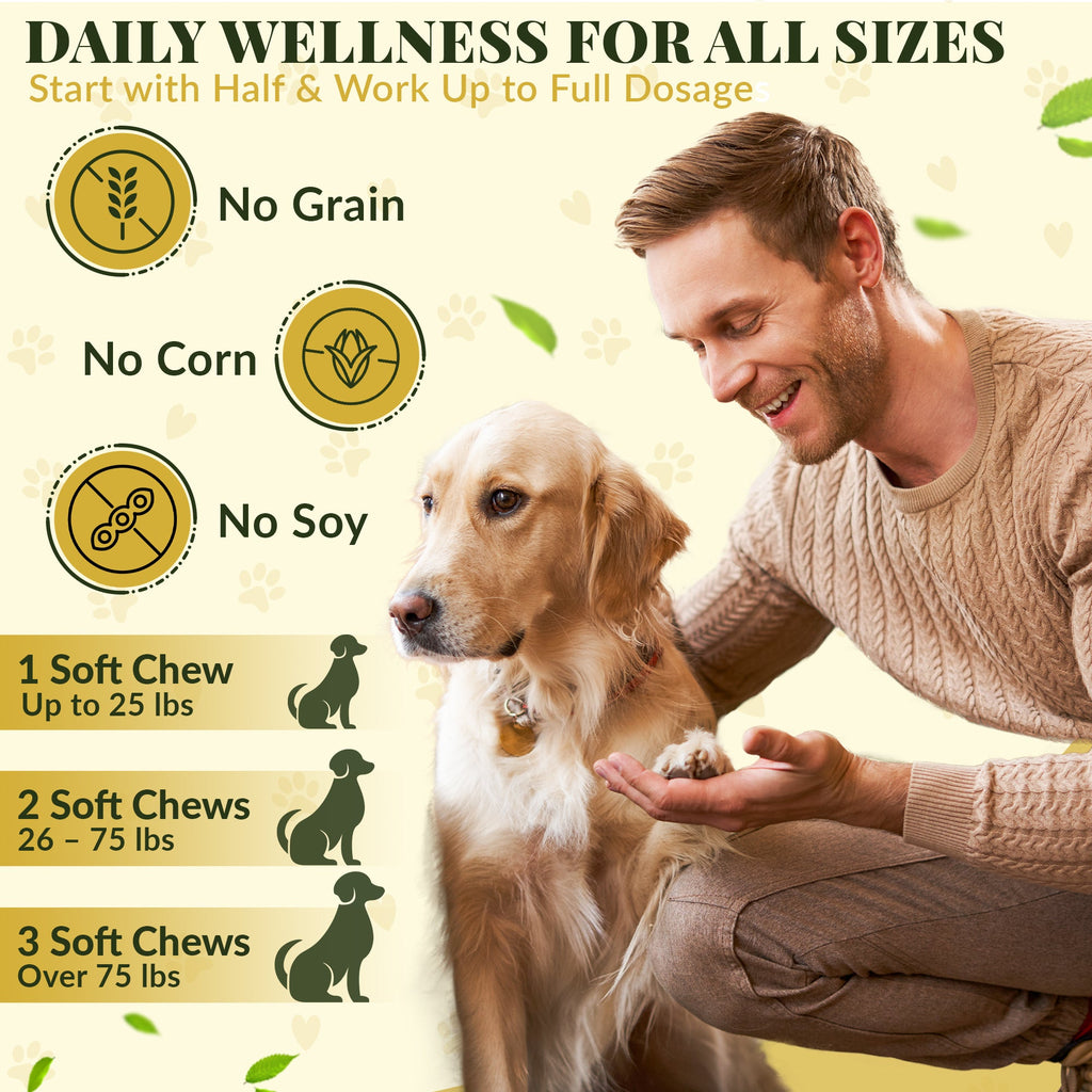 Allergy & Immune Bites for Dogs – Colostrum, Probiotics & Omega - 3 – Seasonal Allergy & Itchy Skin Relief – Peanut Butter Flavor - Barrow & Hound