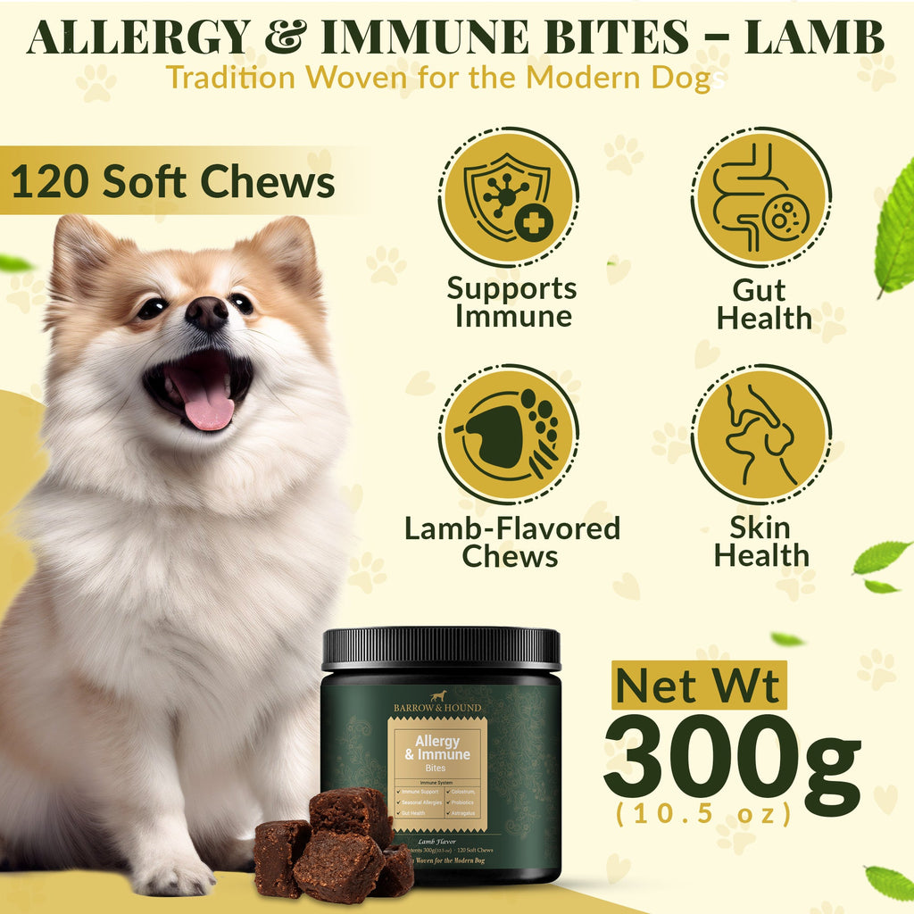 Allergy & Immune Bites for Dogs – Colostrum, Probiotics & Omega - 3 – Seasonal Allergy & Itchy Skin Relief – Peanut Butter Flavor - Barrow & Hound