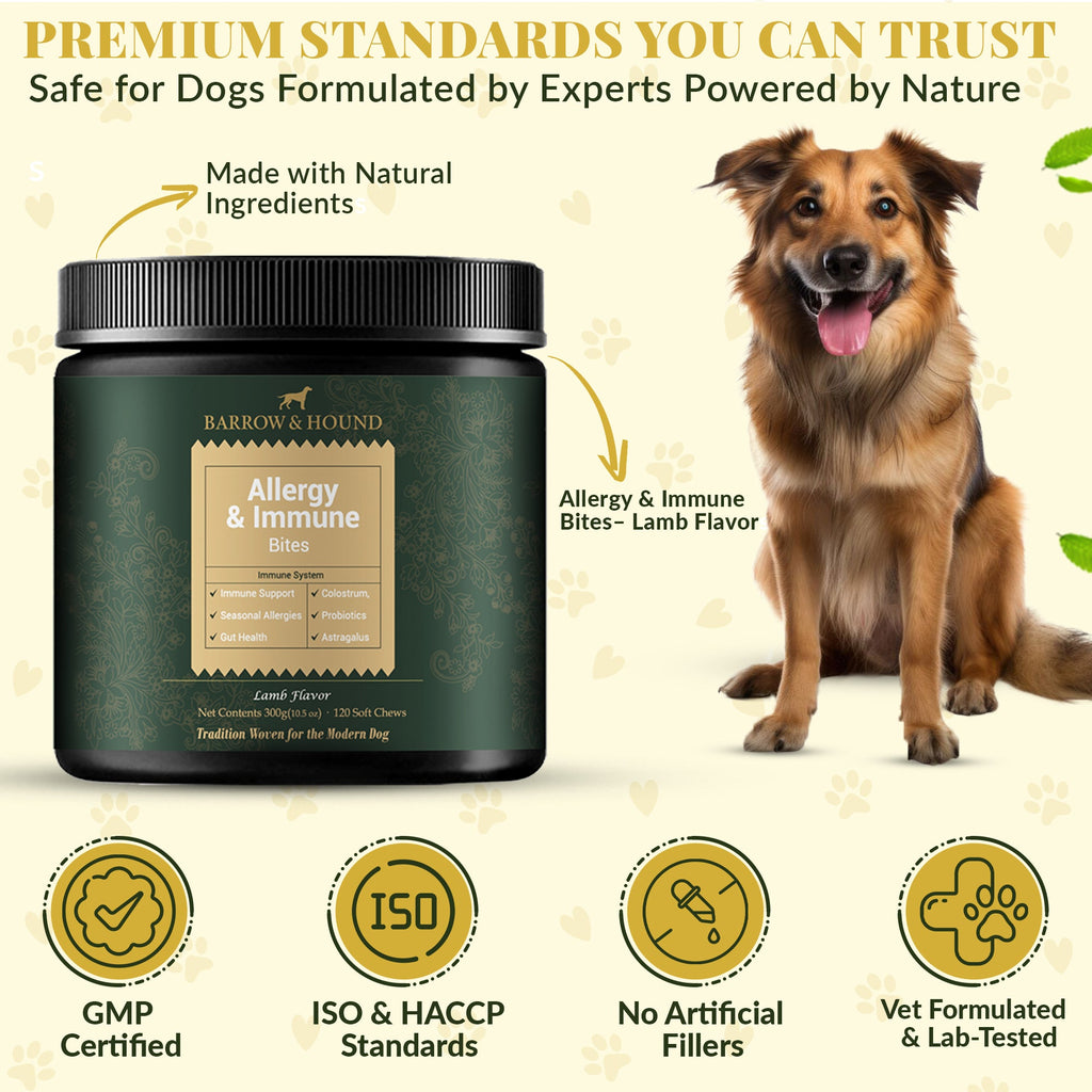 Allergy & Immune Bites for Dogs – Colostrum, Probiotics & Omega - 3 – Seasonal Allergy & Itchy Skin Relief – Peanut Butter Flavor - Barrow & Hound
