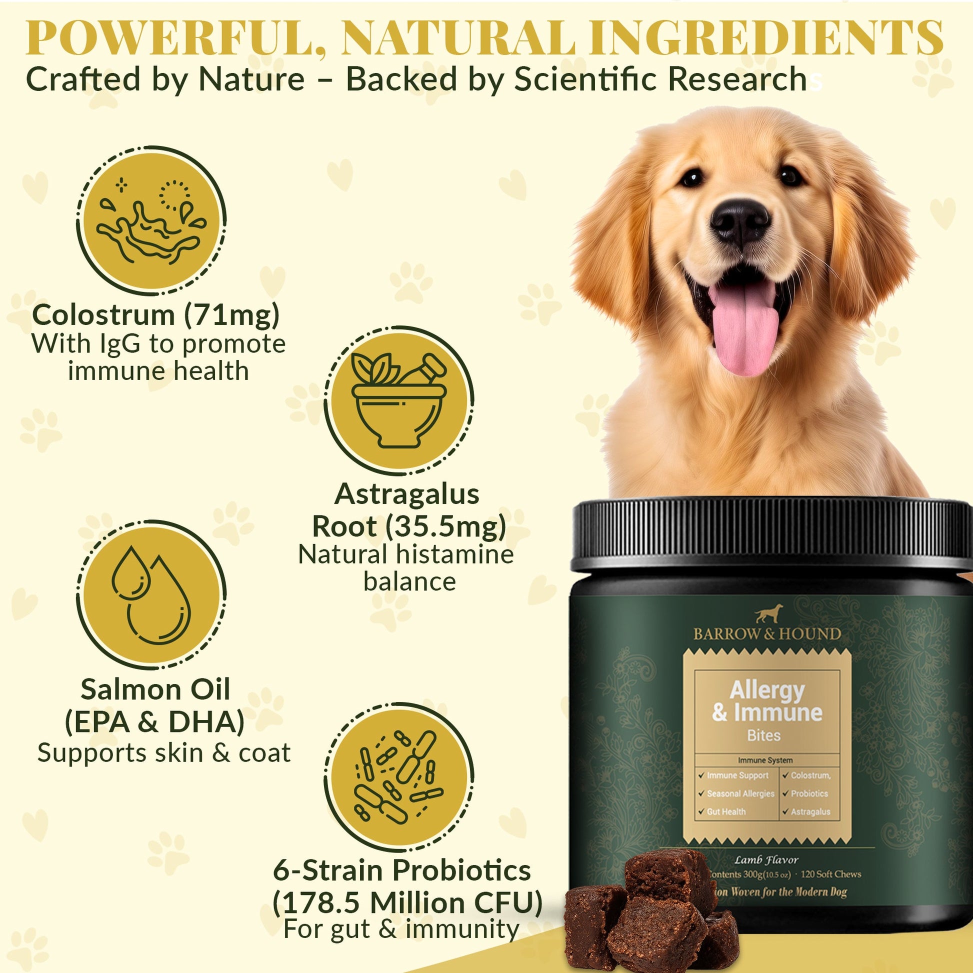 Allergy & Immune Bites for Dogs – Colostrum, Probiotics & Omega - 3 – Seasonal Allergy & Itchy Skin Relief – Peanut Butter Flavor - Barrow & Hound