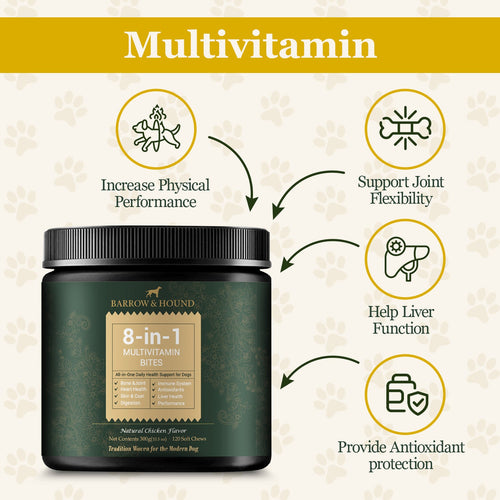 Barrow & Hound Daily Essentials Pack – Multivitamin, Probiotic & Skin & Coat Bites - Barrow & Hound