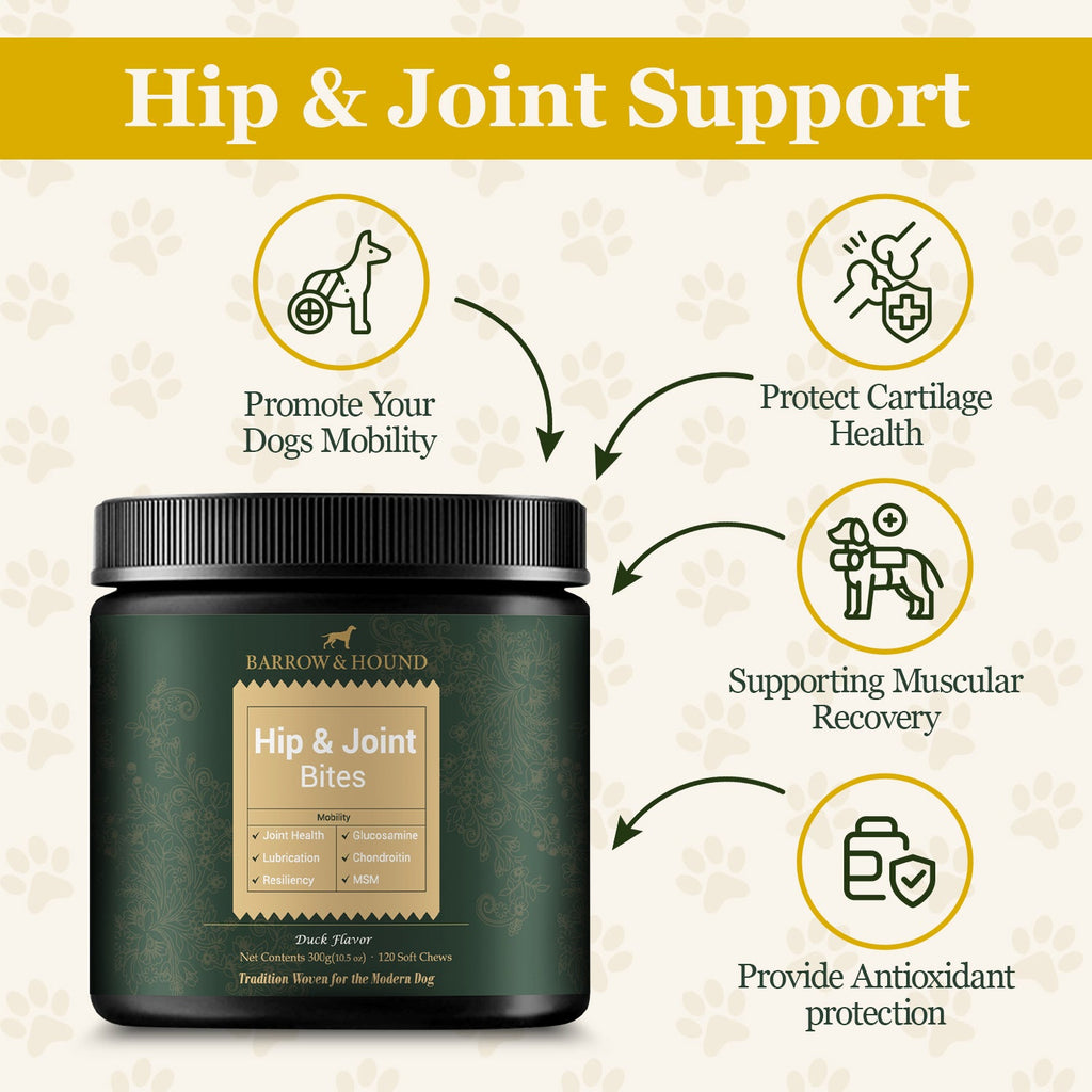 Barrow & Hound Mobility Pack – Hip & Joint Bites & 8 - in - 1 Multivitamin – Joint Health & Complete Wellness Support - Barrow & Hound