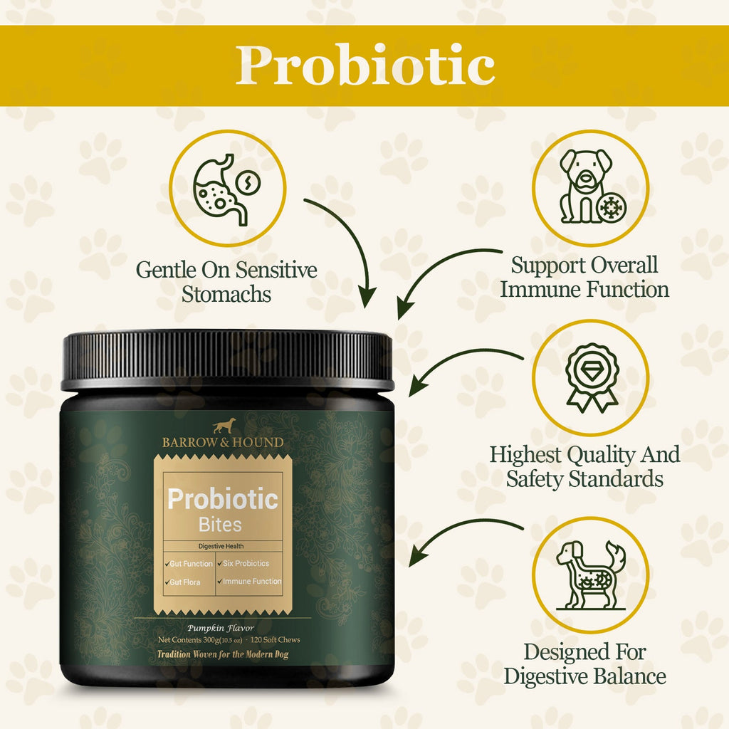 Barrow & Hound Seasonal Care Pack – Allergy Support, Probiotic & Skin & Coat Bites – Year - Round Immune & Skin Health - Barrow & Hound
