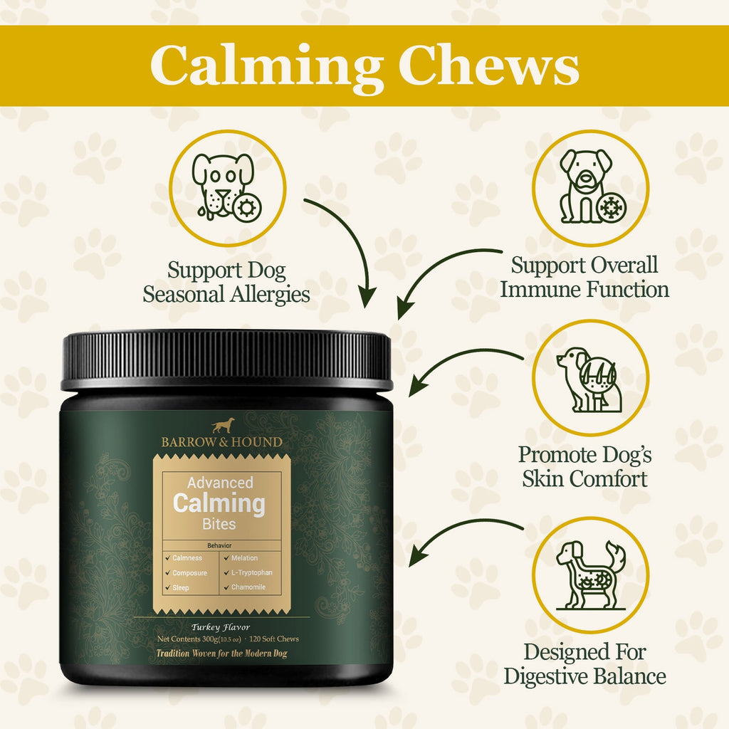 Barrow & Hound Stress - Free Pack – Advanced Calming Bites & 5 - in - 1 Dog Shampoo – Relaxation & Gentle Care for Dogs - Barrow & Hound
