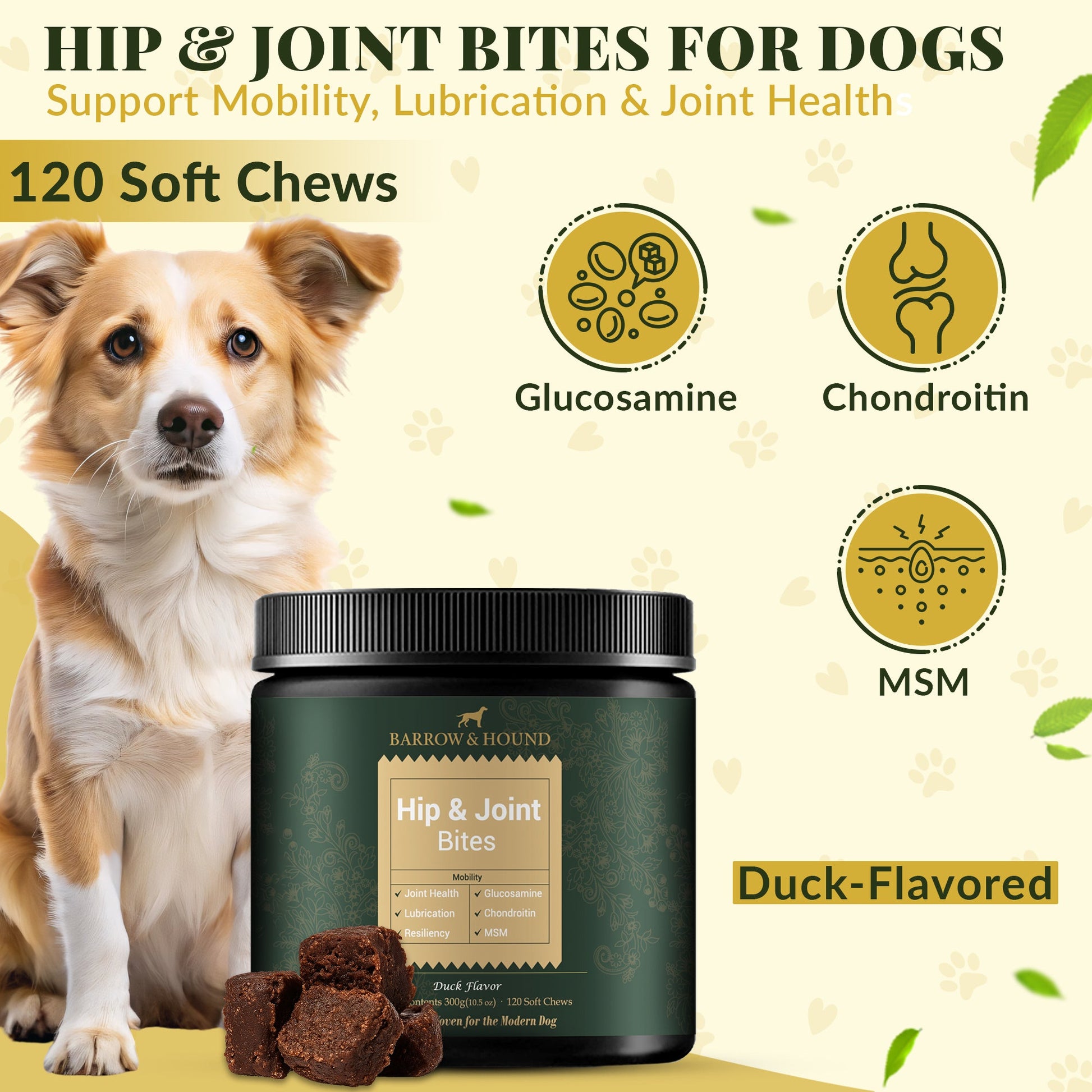 Hip & Joint Supplement for Dogs – Mobility Support for All Breeds - Barrow & Hound