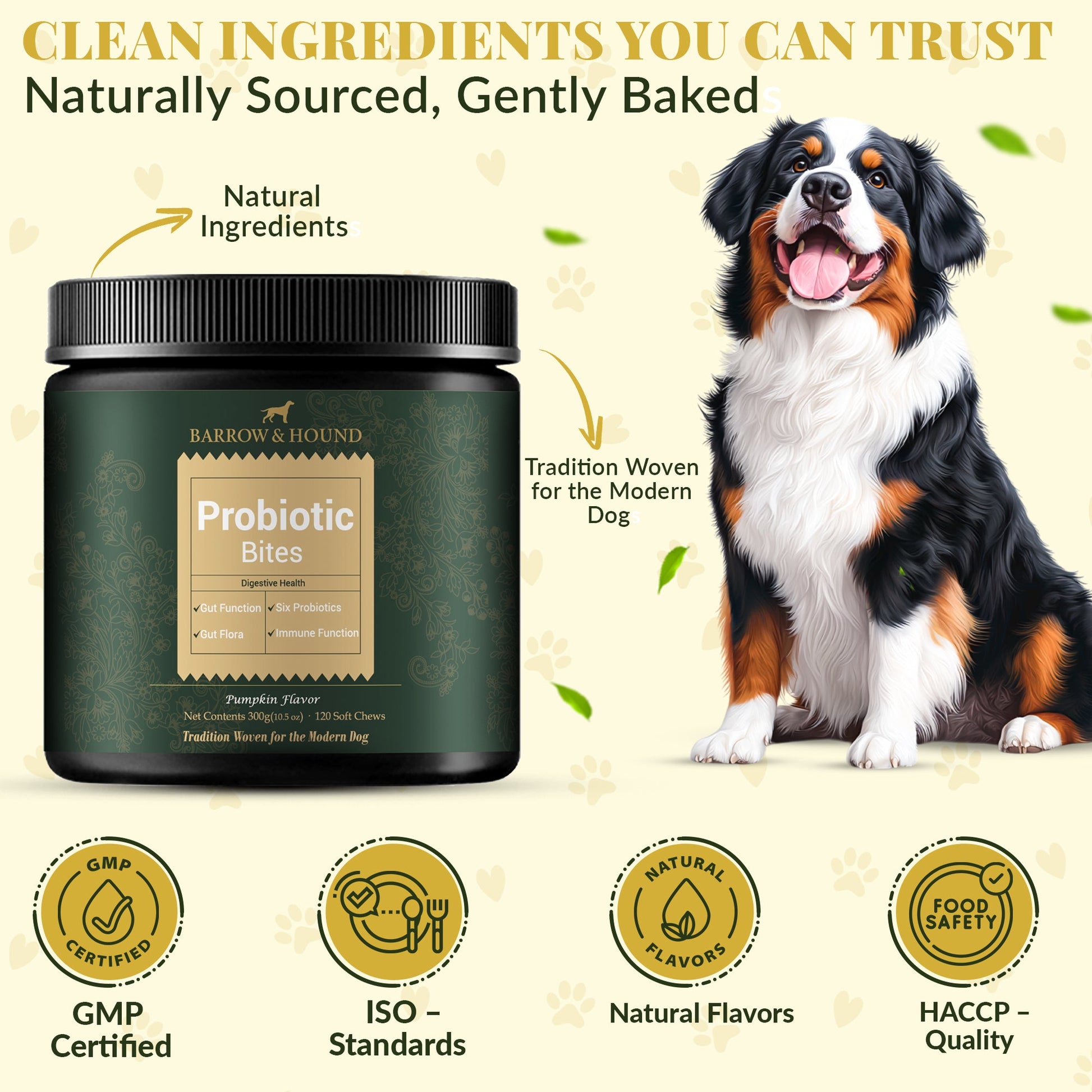 Probiotic Bites for Dogs – Gut Health & Digestive Support - Barrow & Hound