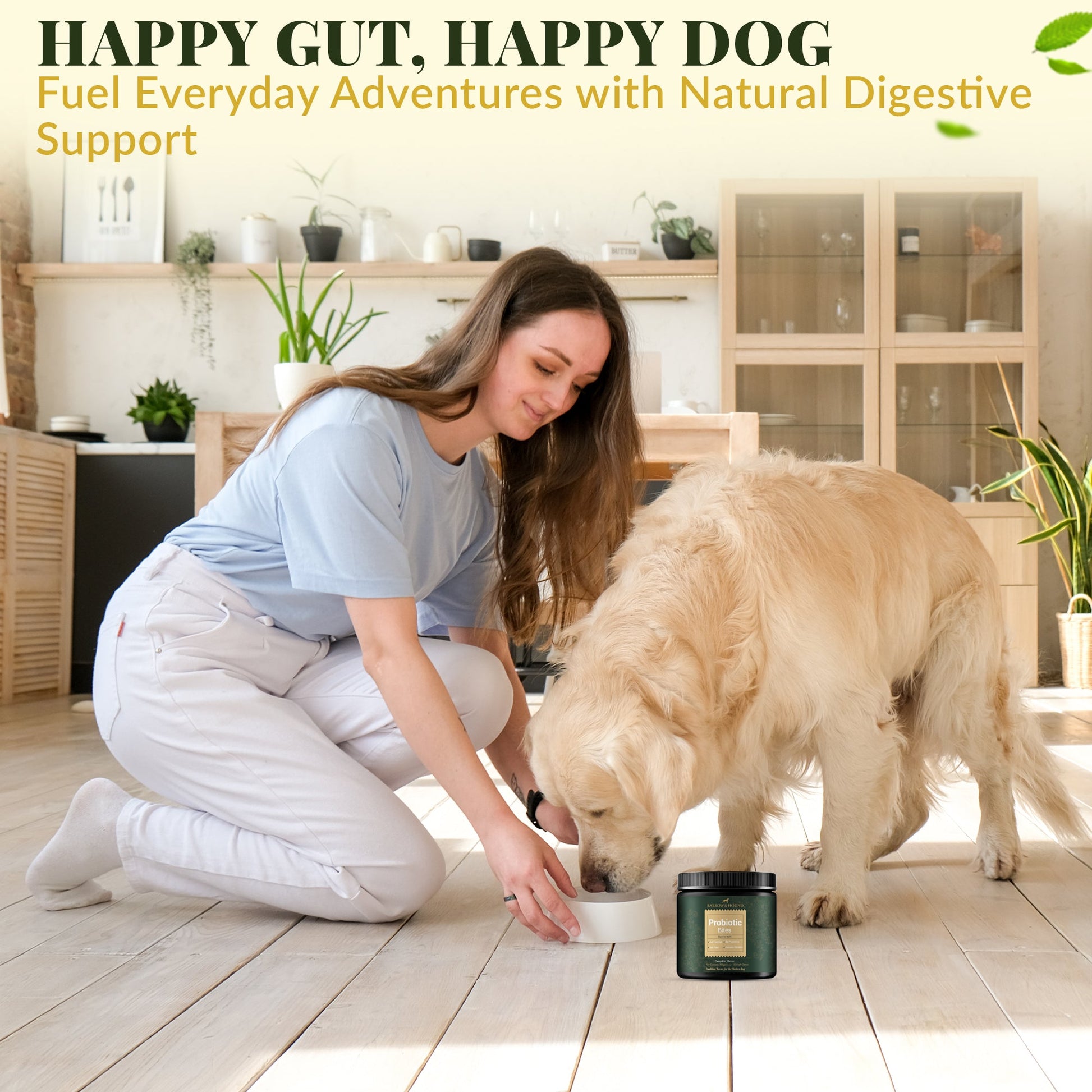 Probiotic Bites for Dogs – Gut Health & Digestive Support - Barrow & Hound