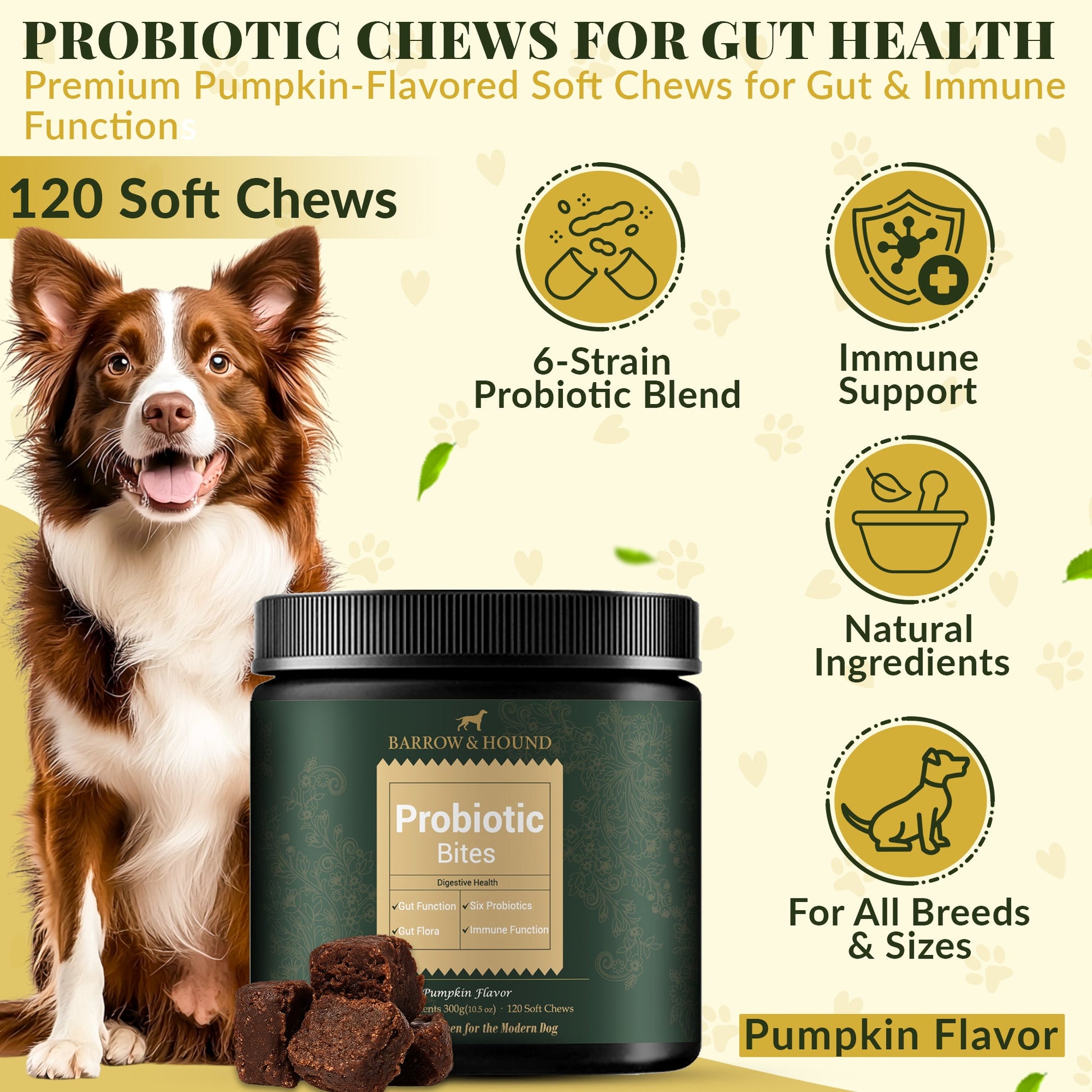Probiotic Bites for Dogs – Gut Health & Digestive Support - Barrow & Hound