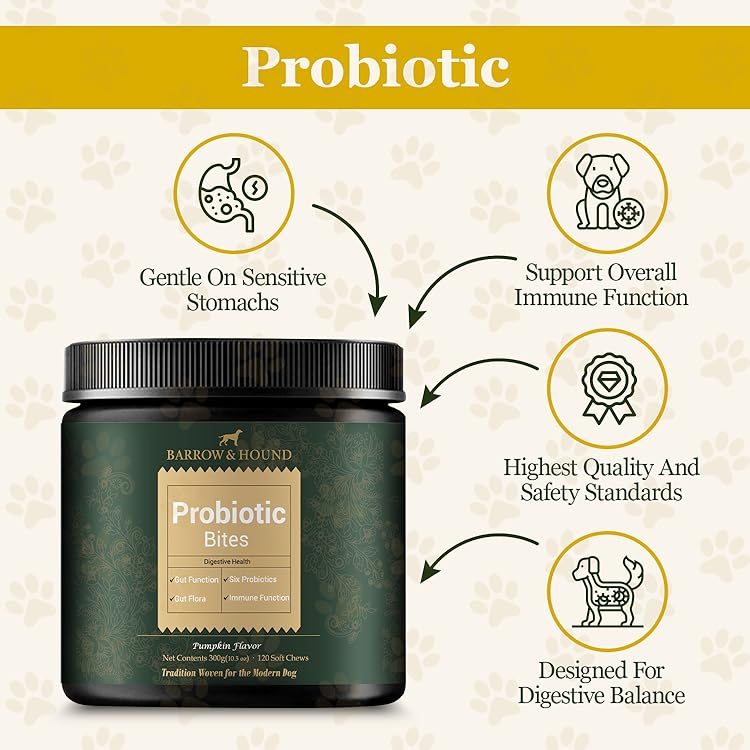 Probiotic Bites for Dogs – Gut Health & Digestive Support - Barrow & Hound