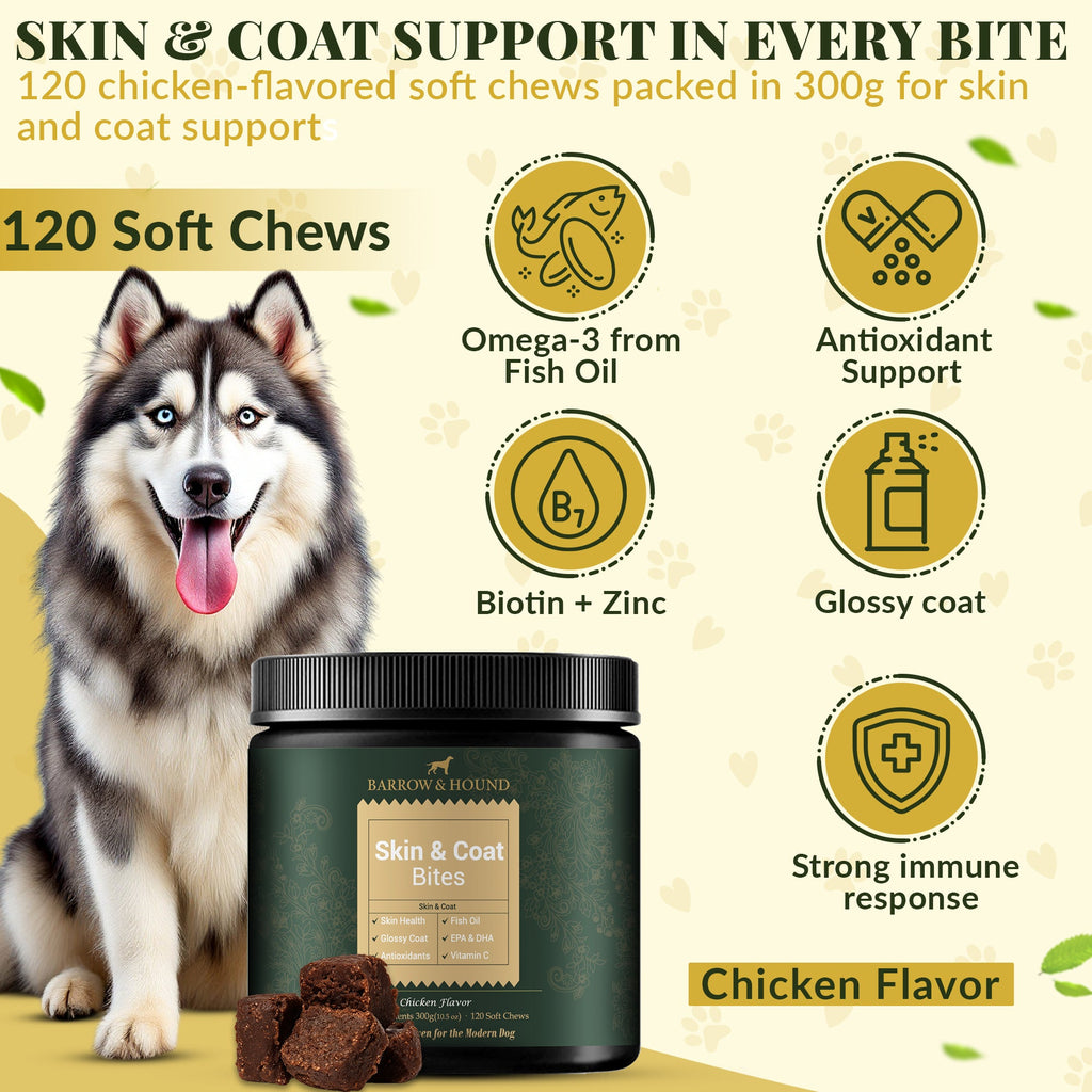 Skin & Coat Bites for Dogs – Shine, Strength & Allergy Relief - Barrow & Hound