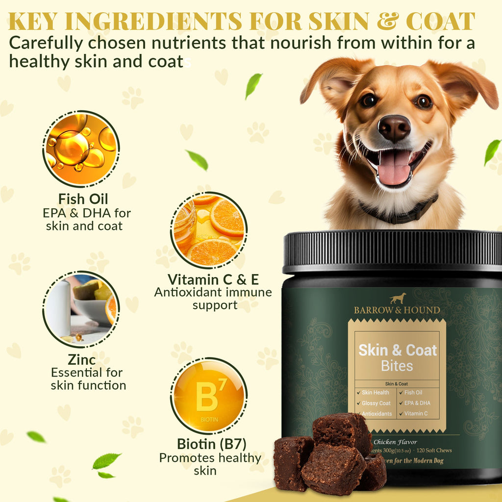 Skin & Coat Bites for Dogs – Shine, Strength & Allergy Relief - Barrow & Hound